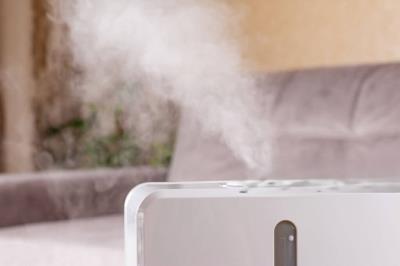 why should i get a whole house humidifier