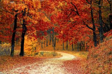 how to prepare your furnace for the fall
