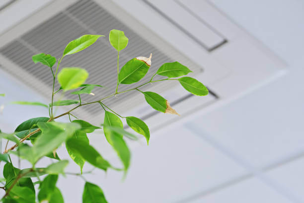 Air Duct Sanitization and Cleaning Services