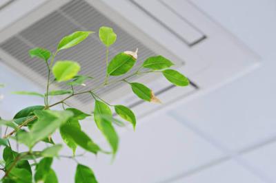 Air Duct Sanitization and Cleaning Services